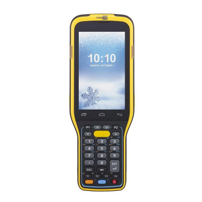 Терминал сбора данных CipherLAB RK95 (AK95485D2NSSC)